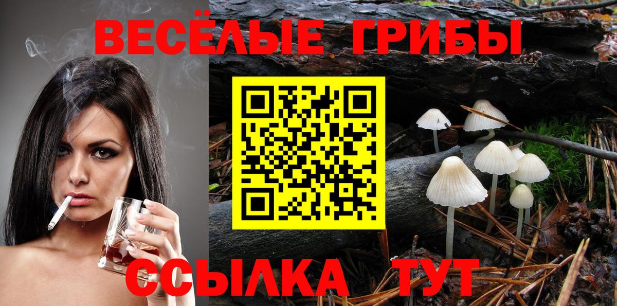 Псилоцибиновые грибы Magic Shrooms Донской