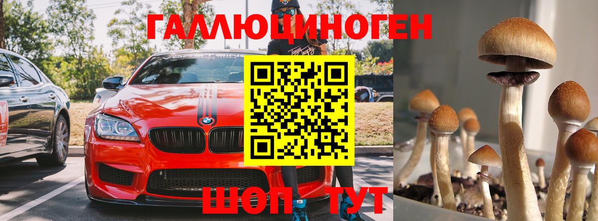 Галлюциногенные грибы Psilocybine cubensis  Вход с VPN  Донской  Галлюциногенные грибы Cubensis 